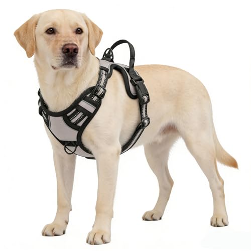 Azinoo Gray No-Pull Dog Harness with 2 Leash Clips，Soft Padded Vest for Medium Dog, Adjustable Reflective Dog Vest Easy to Put on and Take Off, (Neck: 14"~20", Chest: 21"~27", Gray M) by Azinoo - Image 4