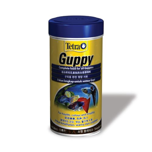 Image of Tetra Guppy Complete Fish Food for All Guppies 30 Gram Fish Food