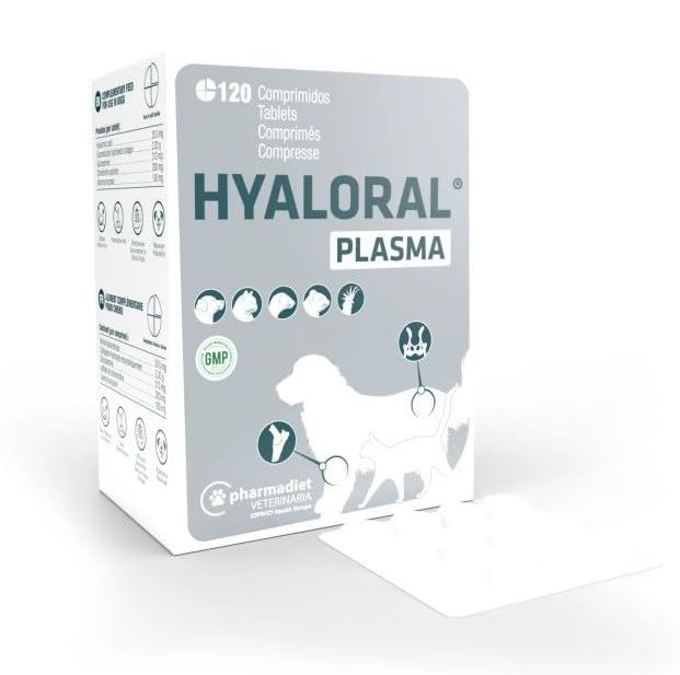 HYALORAL Plasma 120 Tabletten