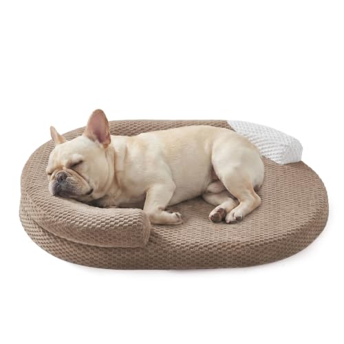 JOEJOY Orthopedic Dog Bed Medium Size Dogs, Waterproof Washable Oval Dog Beds with Removable Cover, Egg-Crate Memory Foam Pet Bed with Bolster Sides & Non-Skid Bottom, Brown, 28''x20''