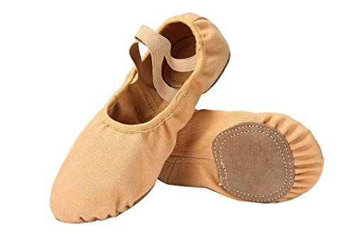 Image of Linodes Stretch Canvas Split Sole Ballet Shoe for Women and Girls Dance | Stretch canvas upper, Breathable, Leather split sole, Stretch-to-fit, For women and girls, Flexible, Comfortable, Lightweight