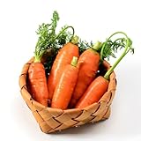 100 piezas semillas de zanahoria organicas plantas de jardín de rocas resistentes, semillas de zanahoria, semillas vegetales plantas en macetas resistentes al exterior, semillas de