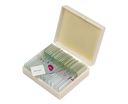 Betzold - Präparate-Set 3 – 25 Stück, Zubehör für Mikroskop, Biologie, organische Objekte