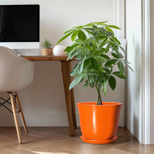 Pots pour plantes d'extérieur et intérieur avec trou de drainage - 4