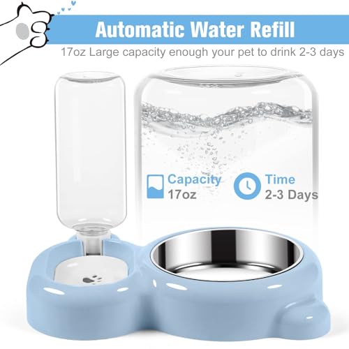 Ensemble de gamelles pour nourriture et eau anti-renversement pour petits chats bleu