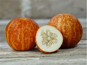 KOKULU S S KAVUNU T GER MELON TOHUMU