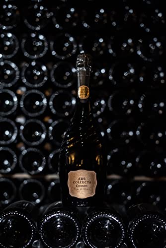 Codorníu Ars Collecta Blanc de Blancs - Cava reservieren - 75cl