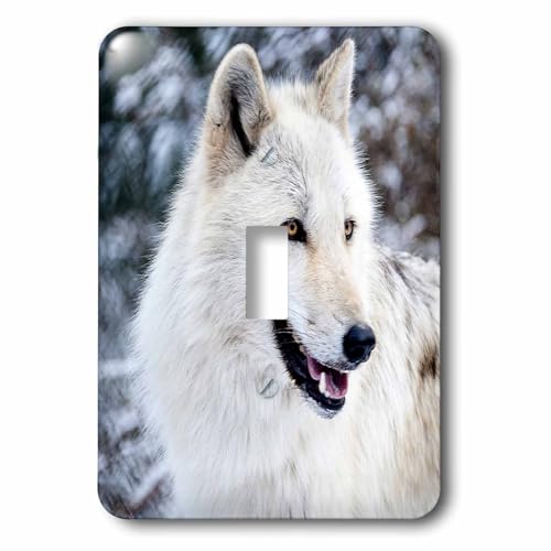 Cache interrupteur Rocky Mountain Grey Wolf 3dRose lsp_173721_1 finition luxe