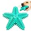 Starfish-blue