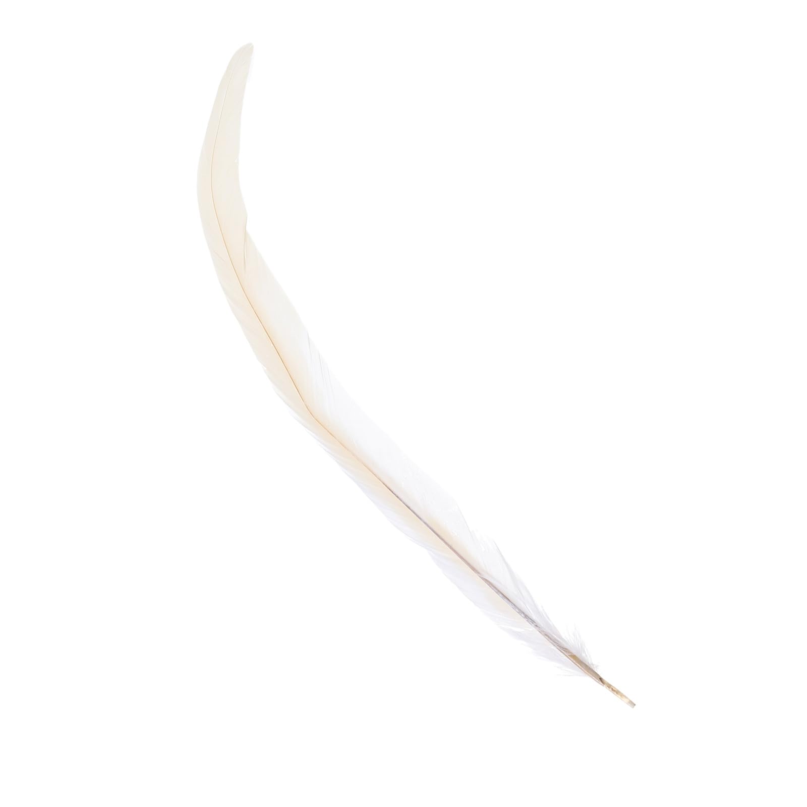 PATIKIL 14-16 Inch Rooster Feathers - Image 4