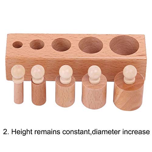 Amazon | モンテッソーリ 円柱さし ♪小 取っ手大きい