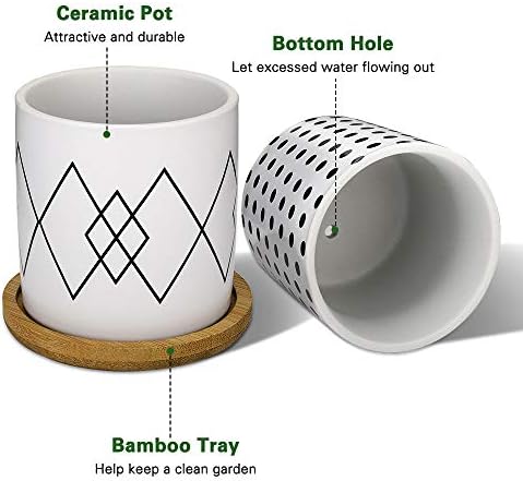 Lewondr 4 Pack Succulent Plant Pots, 2.8 Inch Ceramic Mini Flower Pots Planter with Bamboo Tray for Small plants Flowers Cactus, Home decorations Décor - Geometry 02, Black & White
