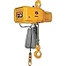 Harrington NER020CD-20 NER Dual Speed Electric Chain Hoist - 2 Ton, 20