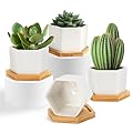 OAMCEG Succulent Pots 2.75 inch/ 4 inch