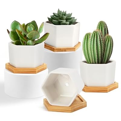 OAMCEG Succulent Pots 2.75 inch/ 4 inch