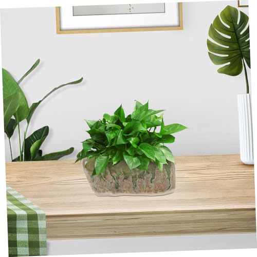 Mini pots céramique pour plantes grasses résistant à l'humidité de la maison - 7