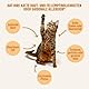 ivvi Haut & Fell Essenz für Katzen – Schlecksnack mit Lachsöl, Algenöl, Zink & Kollagen – unterstützt Haut & Fell – 30x15g – mit echtem Thunfisch