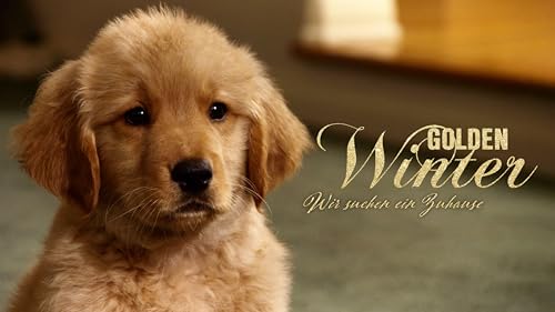 Golden Winter - Wir suchen ein Zuhause