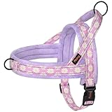 Didog No Pull Dog Harness with Soft Padded, Easy Walk Dog Harness with Quick Release Buckle, Adjustable & Reflective Pet Harness with Soft Padded for Small Medium Dogs (S:Chest 19-22", Purple)