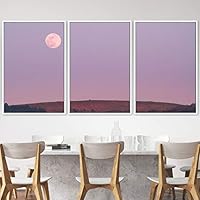 3 Piece Framed Canvas Wall Art Lunar Canvas Prints Home Artwork Decoration for Living Room,Bedroom - 16