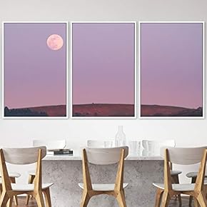signwin 3 Piece Framed Canvas Wall Art Lunar...