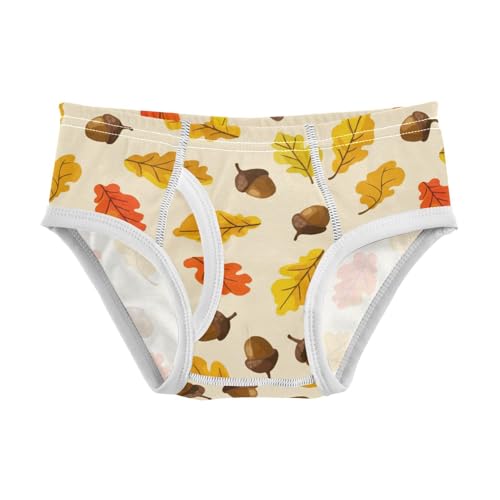 Plant Chestnut Yellow Toddler Boy's Underwear 2T 2301903