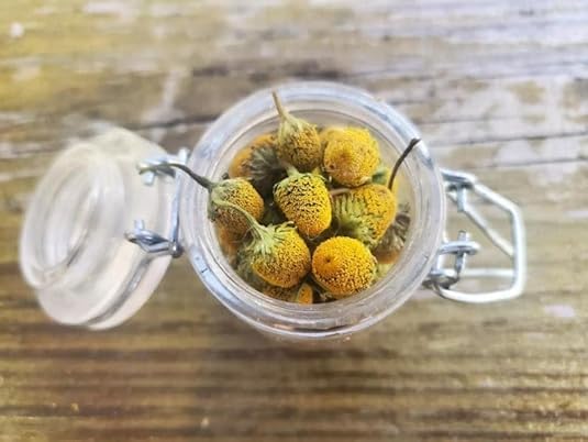 4GRAM, Dried Spilanthes - Certified Organic, Toothache Cress, Acmella Oleracea, Szechuan Buttons, Buzz Buttons, Dried Flowers, Medicinal, Edible