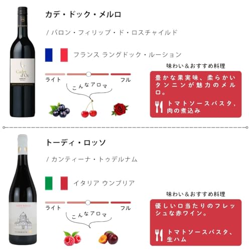 エノテカ 世界のワイン飲み比べ12本セット