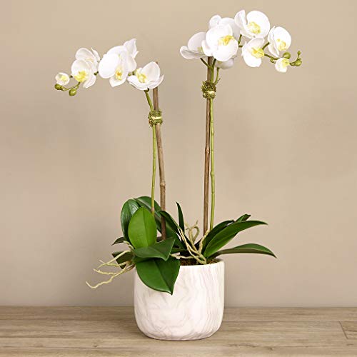BLOOMR Artificial White Marble Potted Orchid Arrangement, Trendy ...