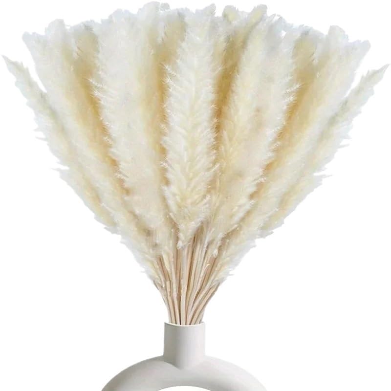 Ramo de flores secas de hierba Pampas 20PCS blanco