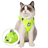 FDOYLCLC Cat Harness and Leash Set for Walking Escape Proof, Step-in Easy Control Outdoor Jacket, Adjustable Reflective Breathable Soft Air Mesh Vest for Small, Medium, Large Kitten (Fruit Green, L)