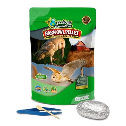 Barn Owl Pellets Dissection Kit - Medium