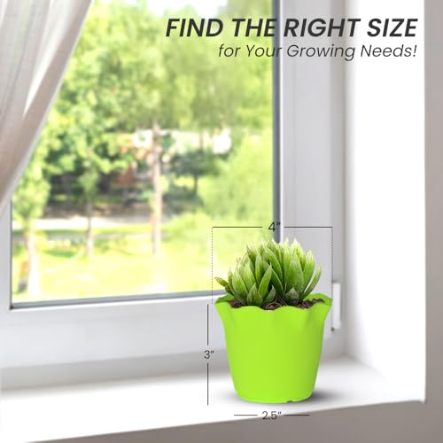 Image of YUCCABE ITALIA SHERA 4 Inch Plastic Flower Pot 12 Piece Set of Unbreakable Round Shape Planter for Home Garden Seedling, Indoor and Outdoor (Green)