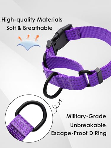 Image of Martingale Dog Collar, Reflective No Pull with Buckle, Purple, S | Escape Proof without choking ,Training Collar with Quick Release Buckle, Adjustable Heavy Duty Nylon collars for S M L Dogs
