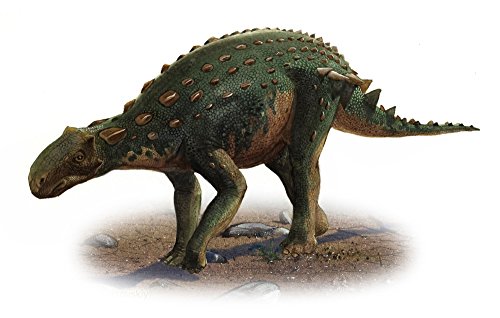 Posterazzi Minmi paravertebra a prehistoric era dinosaur from the Early Cretaceous period Poster Print, (35 x 22) by Posterazzi - Used condition - US$46.01