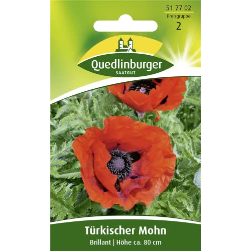 Preisvergleich Produktbild Türkischer Mohn, Brillant