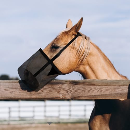 Heunetz für Pferde, Futtertrog Pferd, FutterschüSsel Pferd, Heuraufe Horses, Hay Box, Heunetz, Heusack für Pferde, Heutasche Ponys, Geeignet BauernhöFe、PferdestäLle、Reitzentrum、TäGliche FüTterung