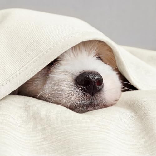 Image of Bedsure Off White Cooling Blanket for Hot Sleepers - Summer Cold Throw Blanket for Bed, Arc-Chill Lightweight Summer Bedding, Cool Thin Ice Cold Cooled Throws with Rayon Derived from Bamboo, 50x70