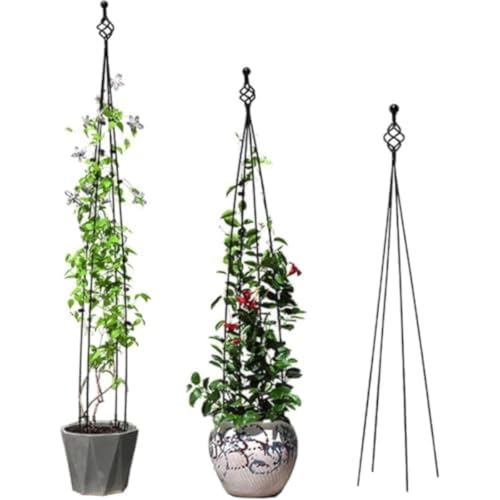 K[fgX [YIxXN K[fjO x Ax Ԃ | AT|[g KN ԓ N}`X̗UɎgp CXg[͕svł op IxXN ACA AT|[g ԗpx ϗtA gX K[f 鐫A 