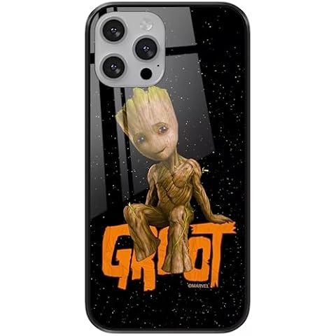 ERT GROUP iPhone 13 Pro Max Case Cover