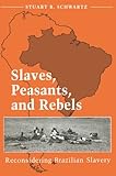 Slaves, Peasants, and Rebels: RECONSIDERING BRAZILIAN SLAVERY (Blacks in the New World)