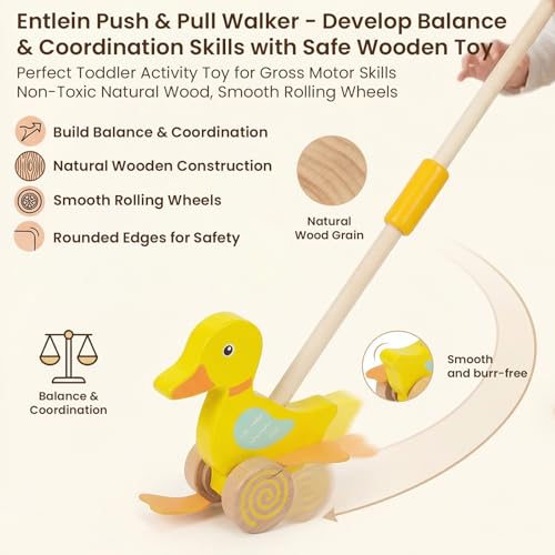 Image of Wooden Push Toys for Toddlers 1-3, Baby Pull Along Stick Walking Duck | Montessori Early Development Toy for 1 Year Old Girls Boys Birthday Gift