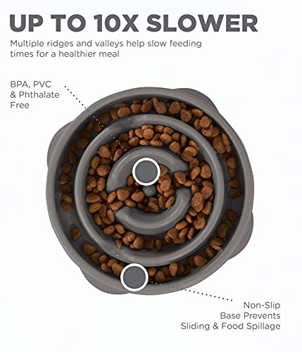 Outward Hound Fun Feeder Slo Bowl, Slow Feeder Dog Bowl, Medium/Mini, Grey #TOP2