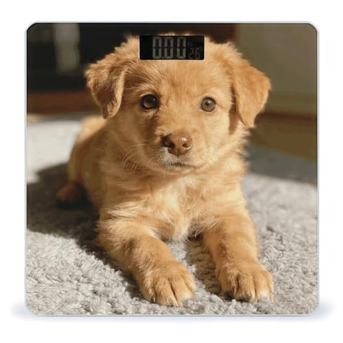 Báscula Digital de Baño Caramel Mini Pudding Precisa miniatura 1