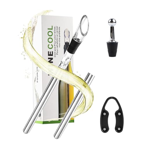 Set refrigerante per vino, bottiglia refrigerante per vino, in acciaio inox, 4 in 1, per vino e vino