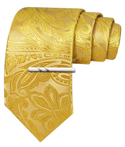 Image of Barry.Wang Paisley Tie for Men Silk Woven Necktie and Tie Clip Set Wedding Party Business Formal