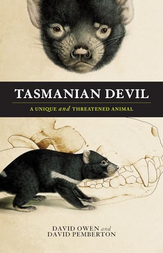 Why Are Tasmanian Devils Endangered? - Conserve Energy Future