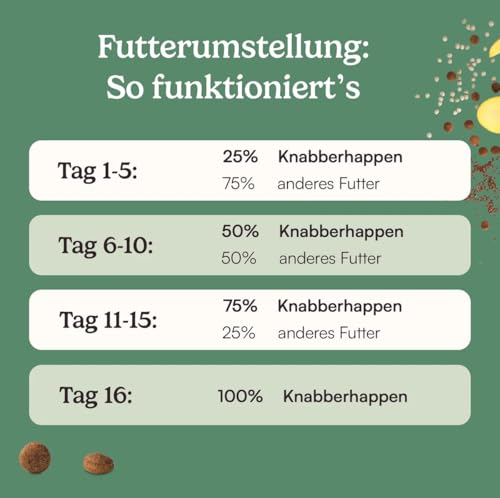 Hunderunde – Trockenfutter für Hunde 2x4kg – Knabberhappen Alleinfutter I vollwertig & pflanzlich I Kann die Verdauung & Fellglanz unterstützen I Insektenprotein Kichererbse Flohsamen Süßkartoffel
