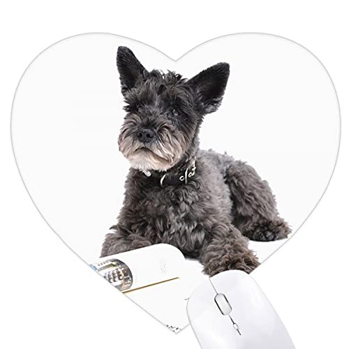 ybgƓ̎ʐ^Be̎ʐ^ n[g^}EXpbhSpbh