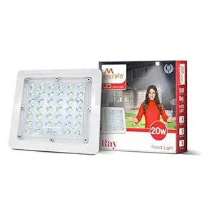 Murphy Polycarbonate 20W Ray Led Flood Light, Cool White, Pack Of 1